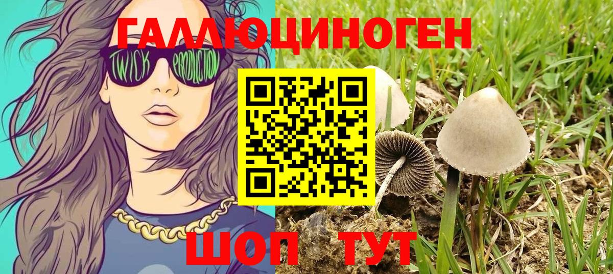 Осинники  Псилоцибиновые грибы прущие грибы  Галлюциногенные грибы прущие грибы  Вход с VPN 